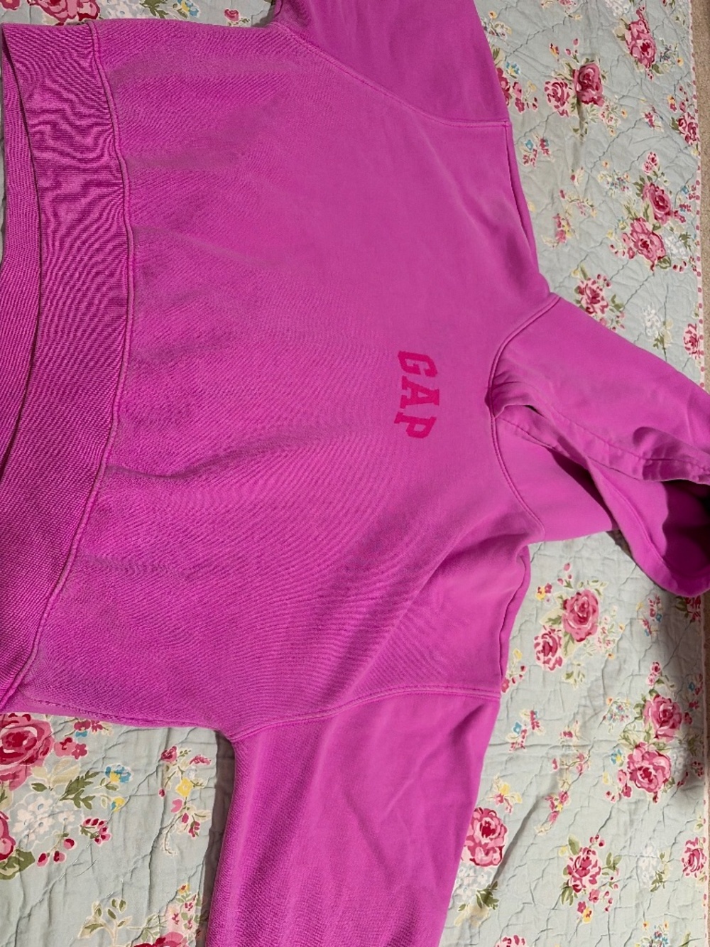 Viral Gap hoodie